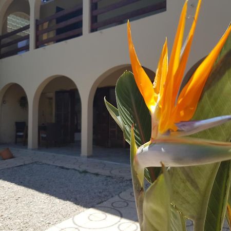 أوباتوبا Santo Quintal Hostel المظهر الخارجي الصورة