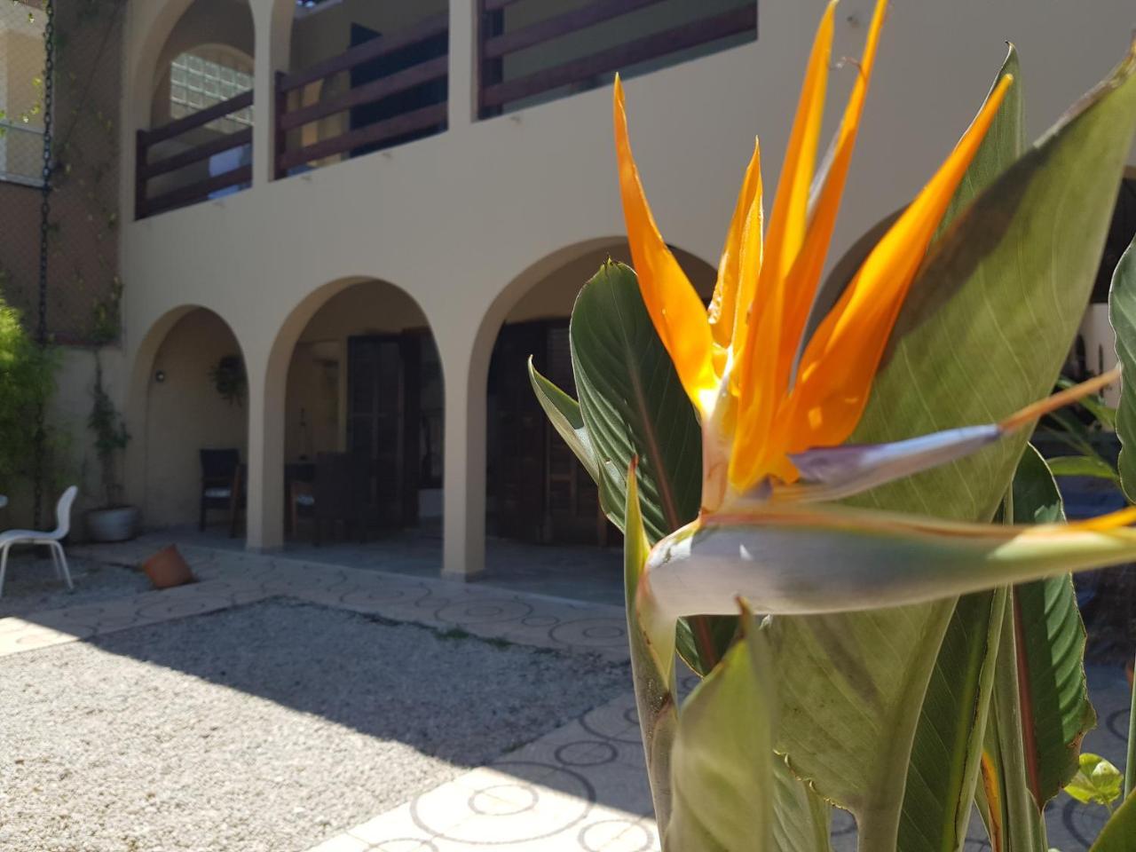 أوباتوبا Santo Quintal Hostel المظهر الخارجي الصورة
